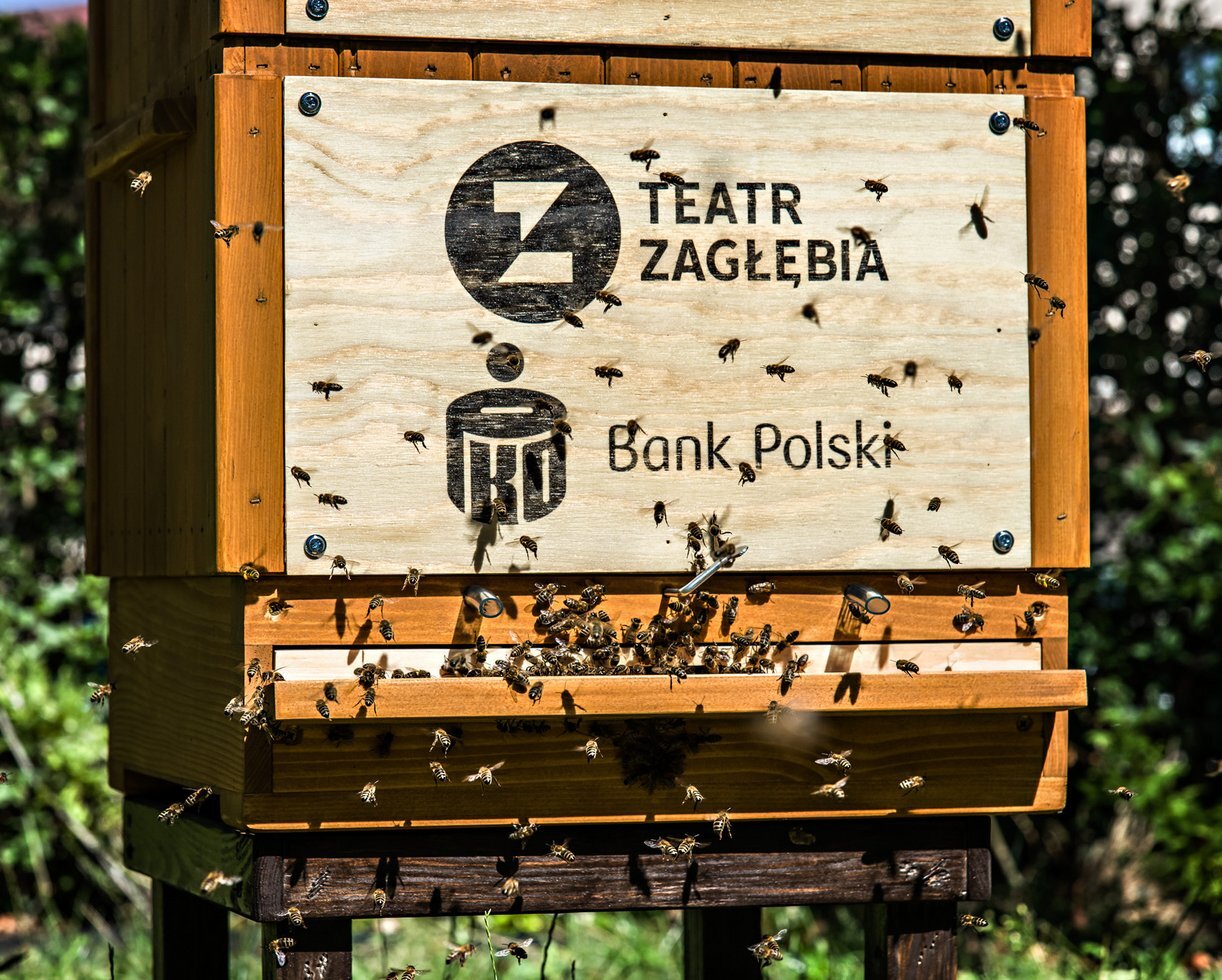 PSZCZOLY 26 8 20 DSC7593