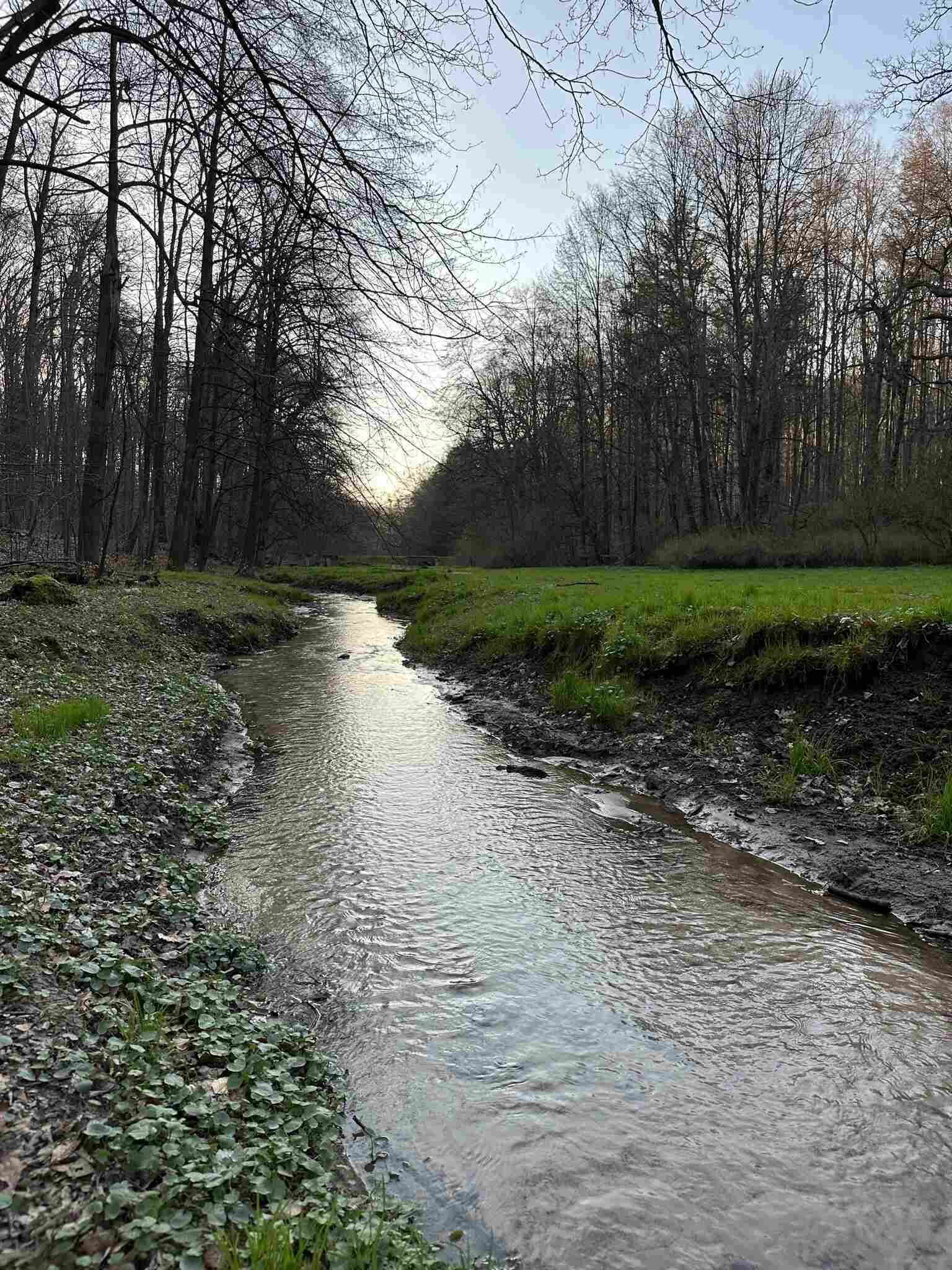 Park Repecki Tarnowskie Góry