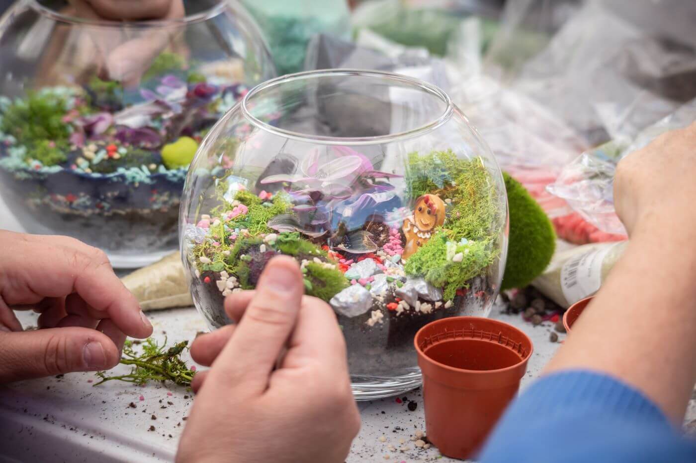 Parkowy Kiermasz Kwiatowy 2025