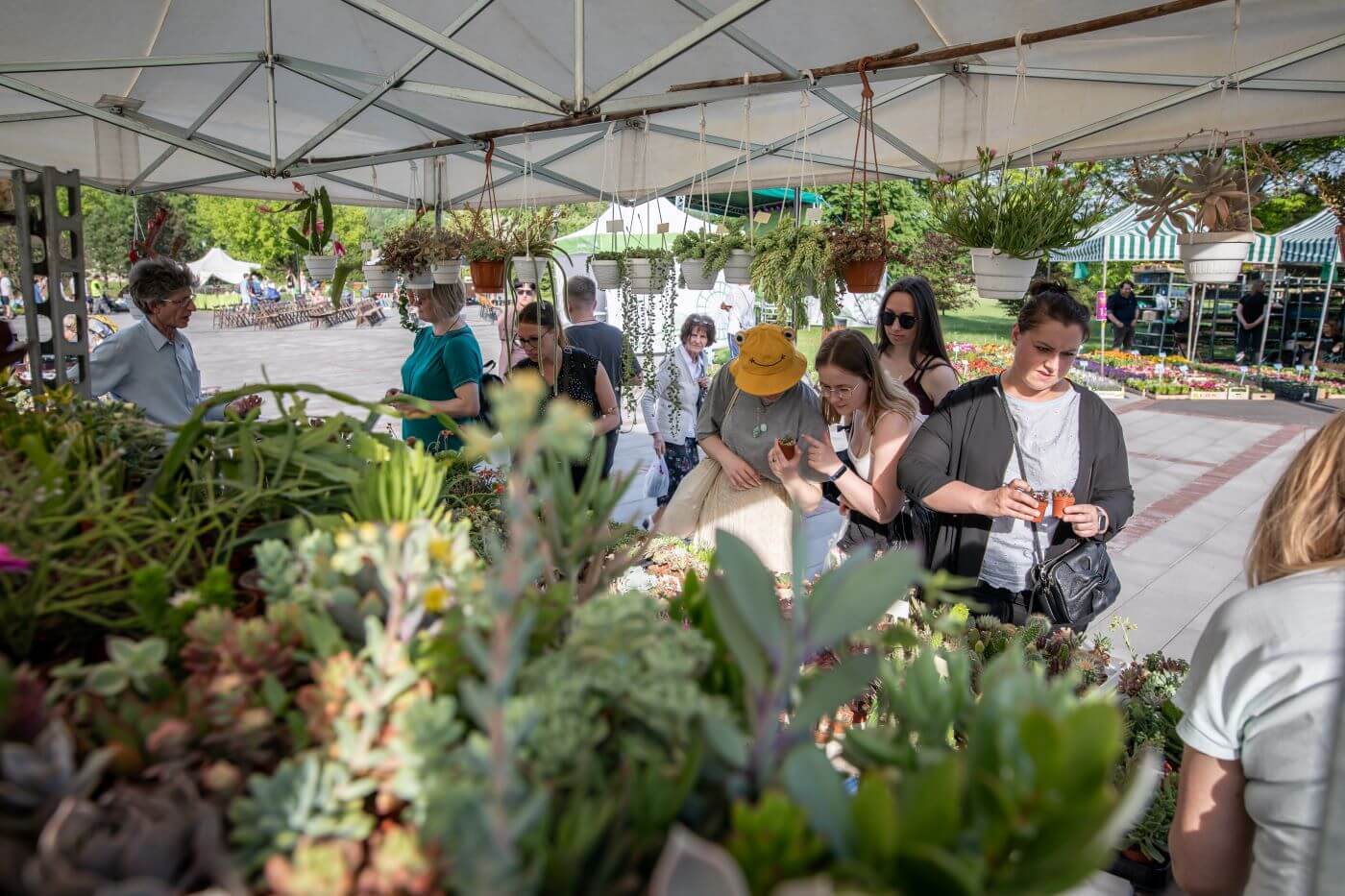 Parkowy Kiermasz Kwiatowy