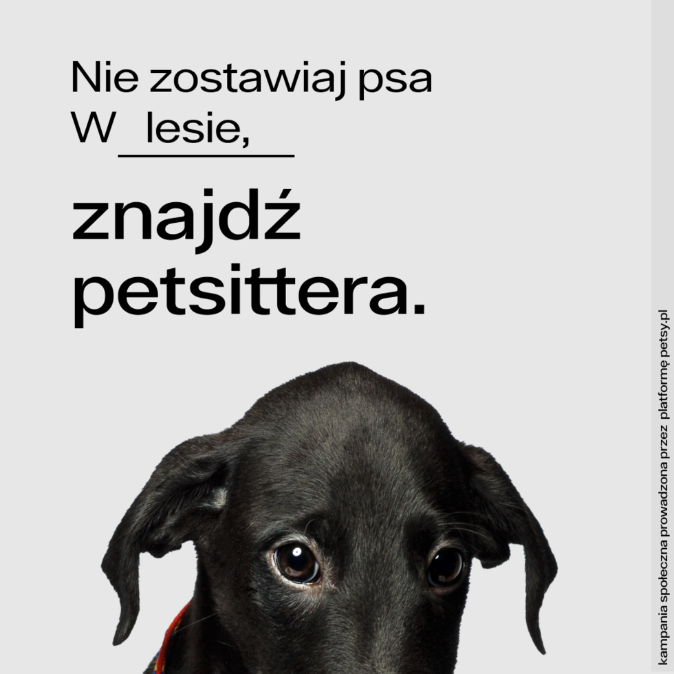 Petsy Nie zostawiaj psa w Lesie 1