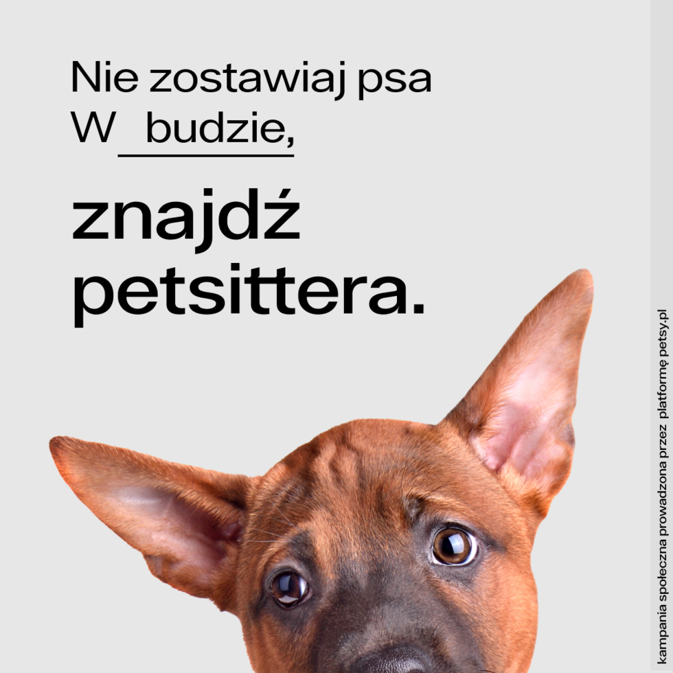 Petsy Nie zostawiaj psa w Lesie 2