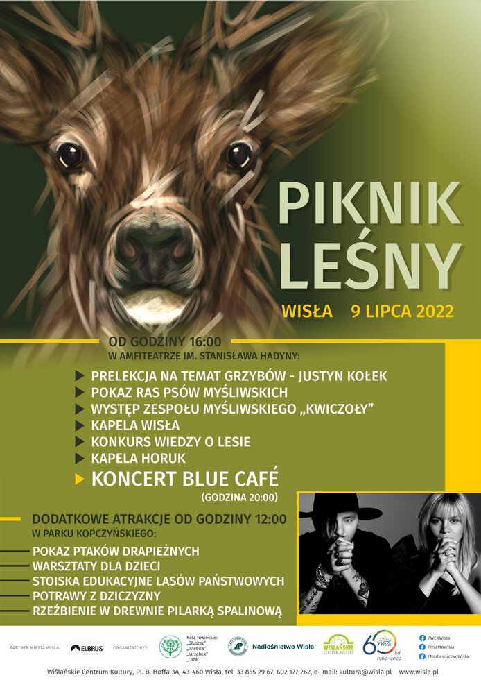 Piknik Lesny 2 16 1