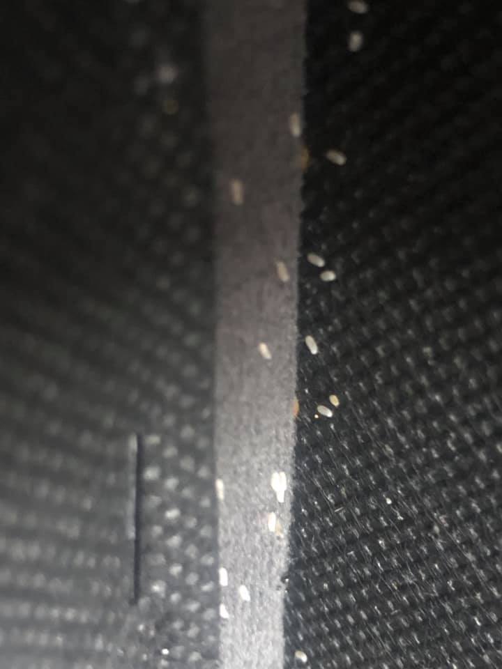 Pluskwy w mebalch Agata