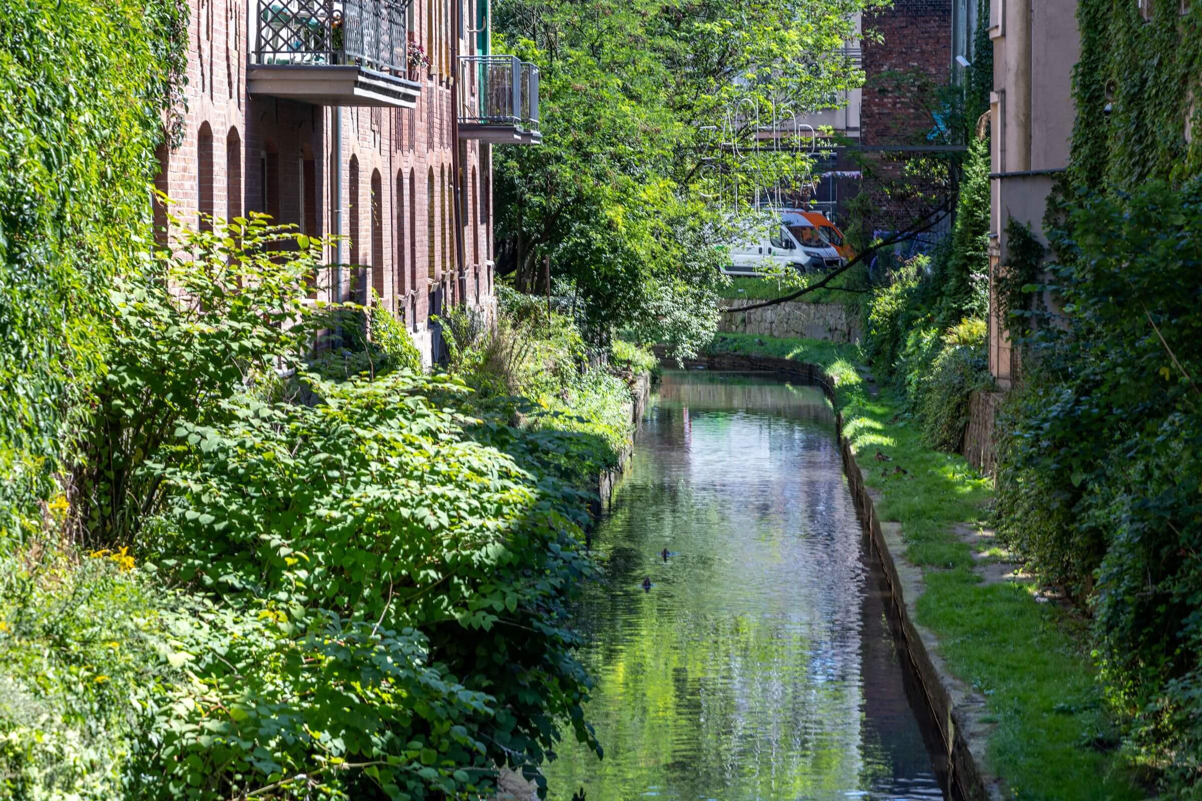 Rawa przy katowickim Rynku