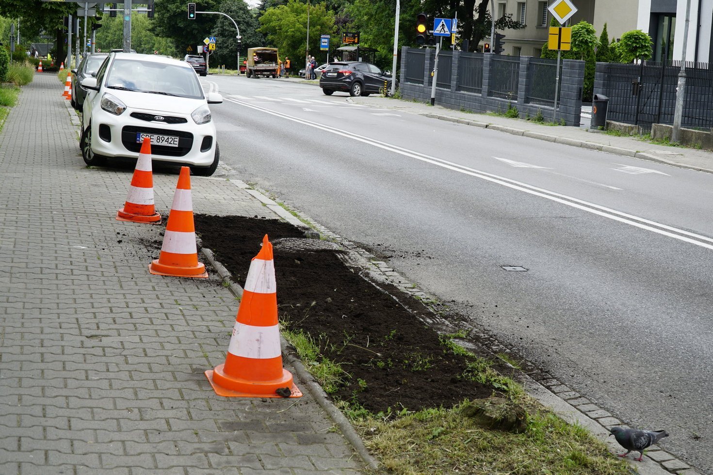 Rewitalizacja zielencow w ramach akcji Zielone Nie parkuje 3 fot M Malina