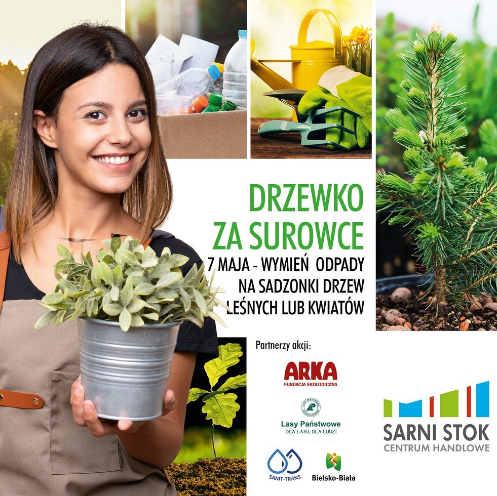 Sarni Stok Drzewko 042022 baner kwadrat 1900x1900 A 0