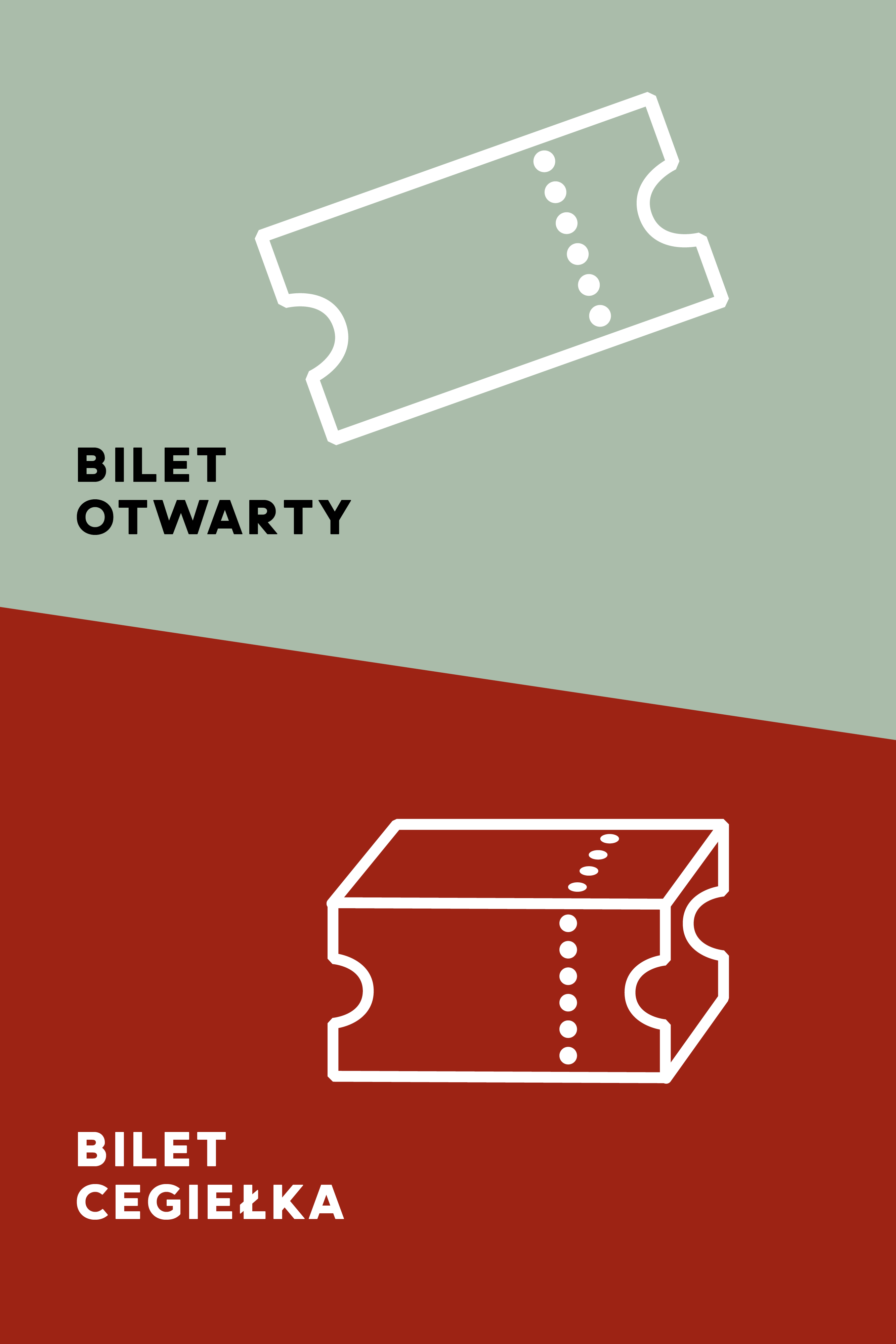 TZ t Bilet2
