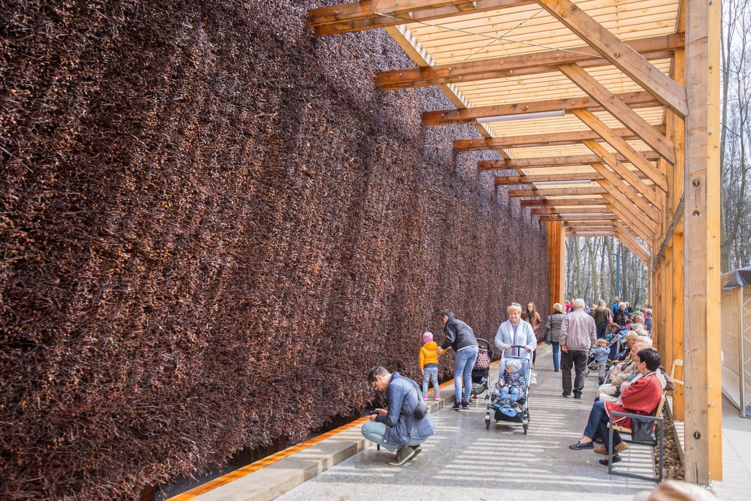 Teznia solankowa w Parku Zadole