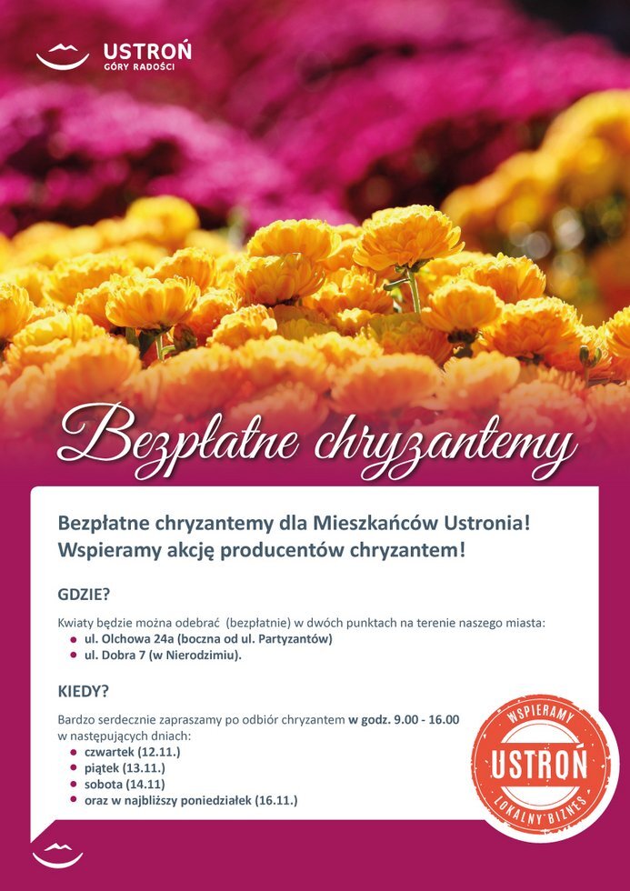 UM Ustron Chryzantemy