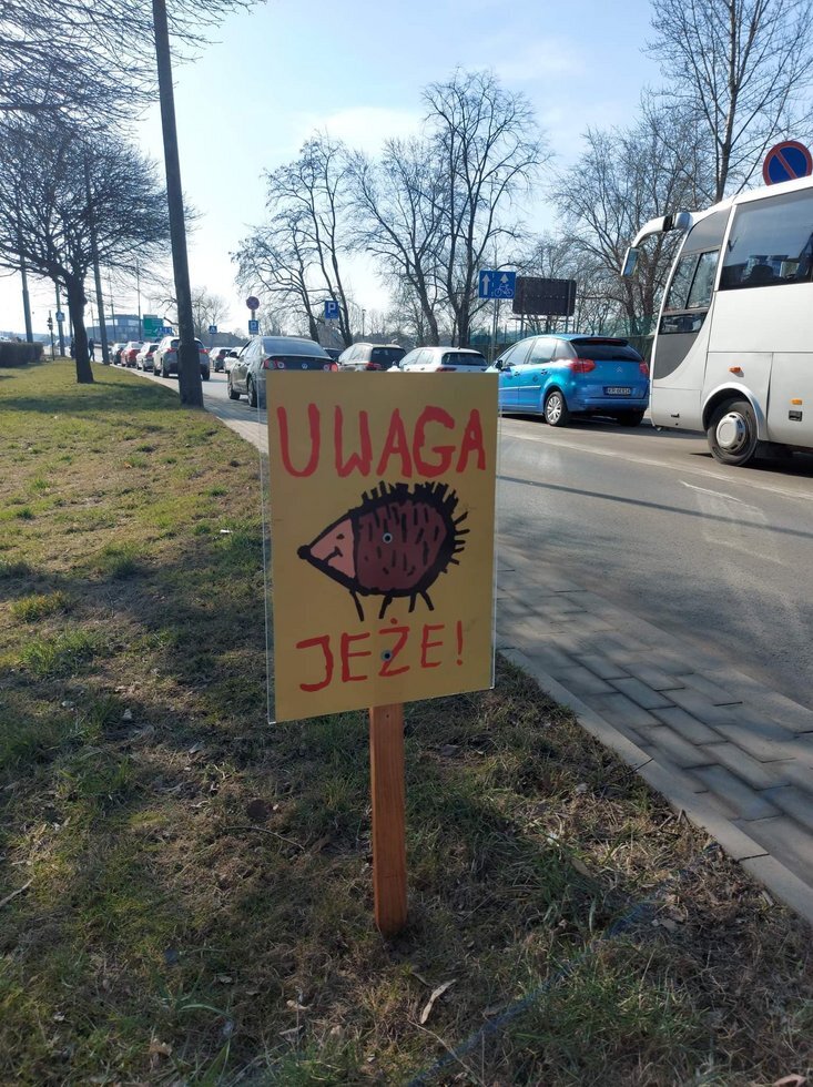 Uwaga jeze fot S Piskorz 4