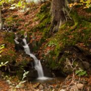 rajd ku źrodłom wisły