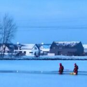 Pomoc topiącym się sarnom