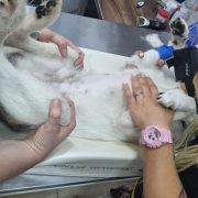 291432292 405228518315250 6019475898950069962 n