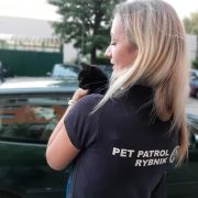 299400960 436311918540243 1655913162073848028 n