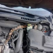 302445087 450688433770326 4748998302258057004 n