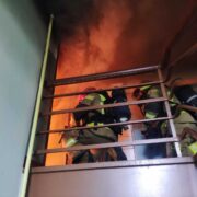 331788866 510573971267675 6358422304897239870 n