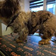 340344881 764680058635209 1824230511075703958 n