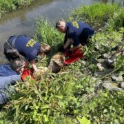 349333416 169043436129299 4799802497172954281 n