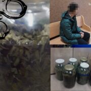 policyjny pies wywąchał narkotyki