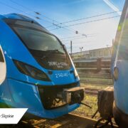 434033492 1009365510636574 859067602505539014 n