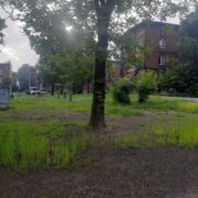 447469552 980658797399838 5238002268273762376 n