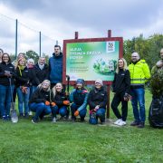 Aleja 1000 Drzew w Gliwicach