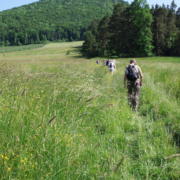 zdjęcie poglądowe pixabay.com