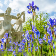 Cztery Pory w Parku Slaskim