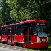 D4 N 1514 kopia