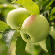 DOC 20211223 41184240 2021 06 Cute ee