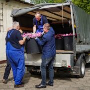 Donice z kwiatami zdobią katowickie podwórka 01