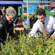 Drzewko za surowce 1