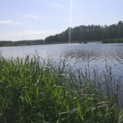 IMG 20230521 154946 1