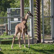 IMG 7569 1 2 width 800