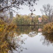 Kozubek to staw znajdujacy sie na granicy osiedla Witosa Zaleza oraz dzielnicy Batory w Chorzowie Fot KAW