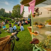 OFF Festival ma swoj niepowtarzalny klimat fot Radoslaw Kazmierczak