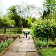 Ogrodkidzialkowew Katowicach top10ofertzolx