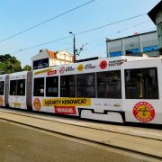 PJT 2 fot Danuta Pawelczyk