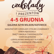 Plakat A4 program katowice 12 21