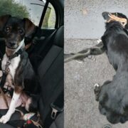 Projekt bez tytulu 17