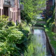 Rawa przy katowickim Rynku