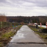 budowa drogi rowerowej wzdłuż Francuskiej