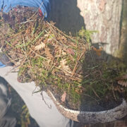 Sprzątanie rezerwatu przyrody