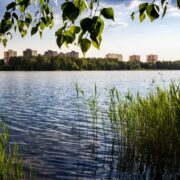 kąpielisko przy stawie Morawa