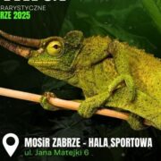 Targi Terrarystyczne Zabrze