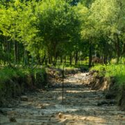 W ramach budowy parku i nowych stref przebudowany zostanie istniejący ciąg pieszy Fot KAW