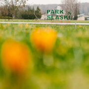 Wiosna w Parku Śląskim