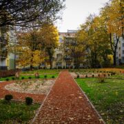 Zielona oaza w katowicach