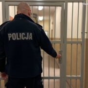 Aresztowanie oprawcy domowego